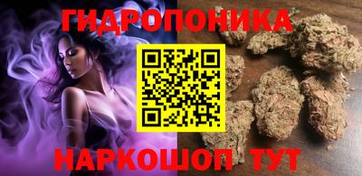 apvp Новодвинск