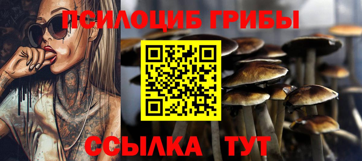 Солнечногорск  Псилоцибиновые грибы Magic Shrooms  дарнет шоп  Вход с VPN 